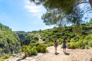 Hiking trial Valencia