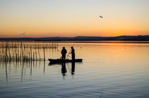 Albufera Valencia