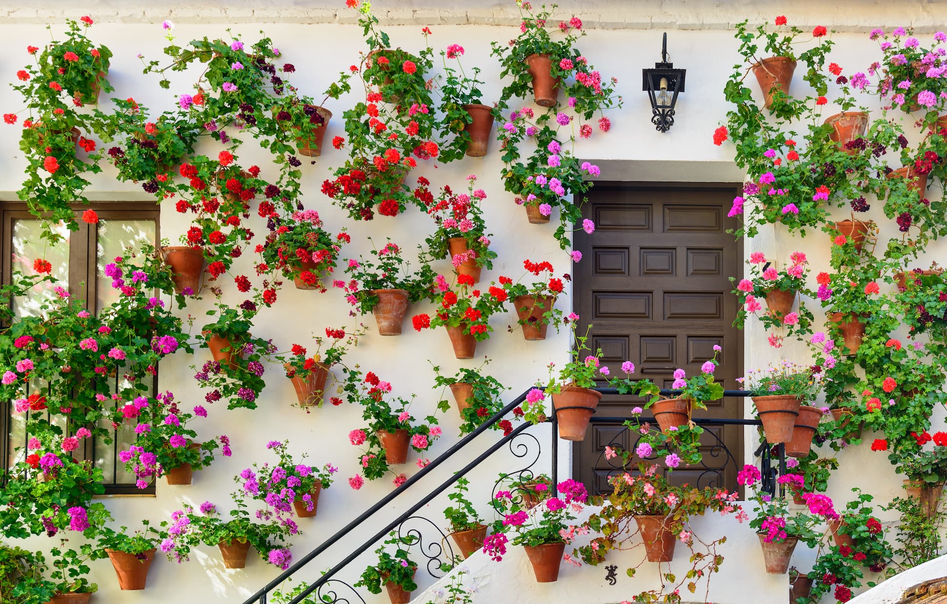 5 patios to visit in Córdoba | Blog | Líbere